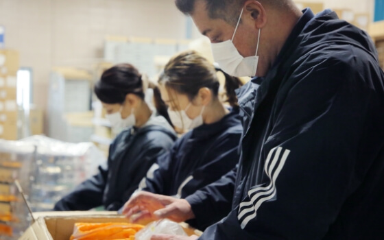 スタッフによる業務の様子